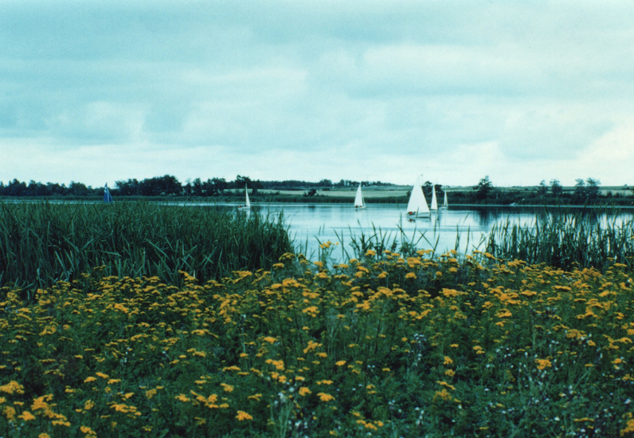 Telford Lake in the 1990s