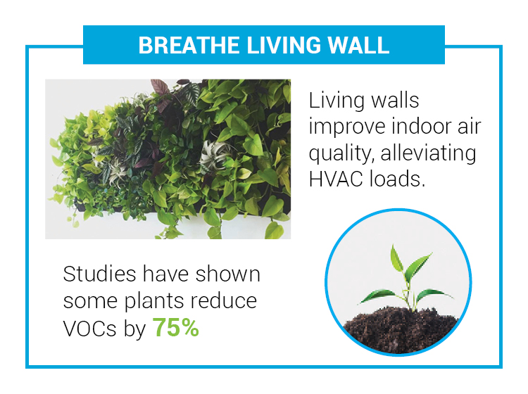 Breathe living wall - Studies have shown some plants reduce VOCs by 75%