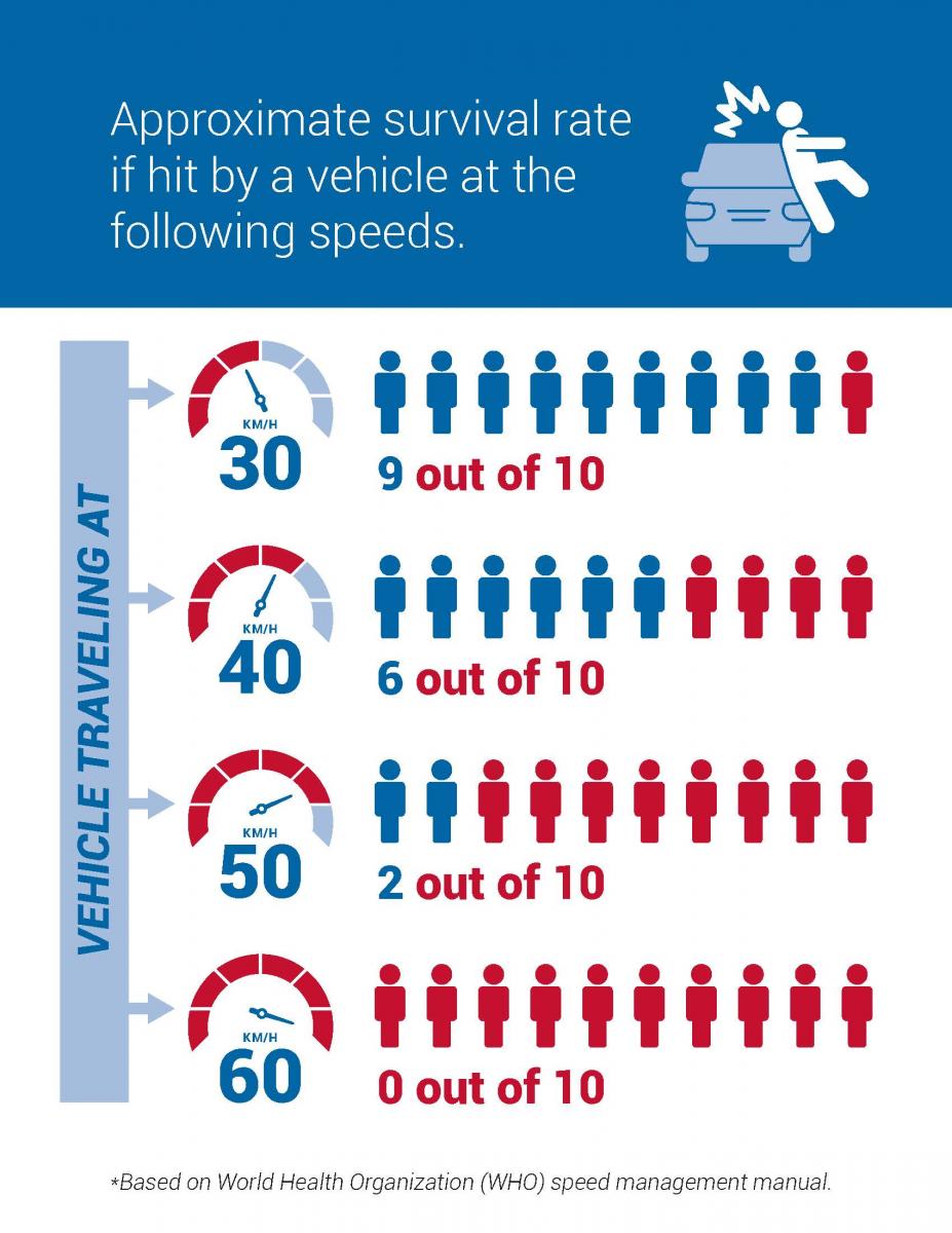 Graphic showing the approximate survival if hit by a vehicle at different speeds.