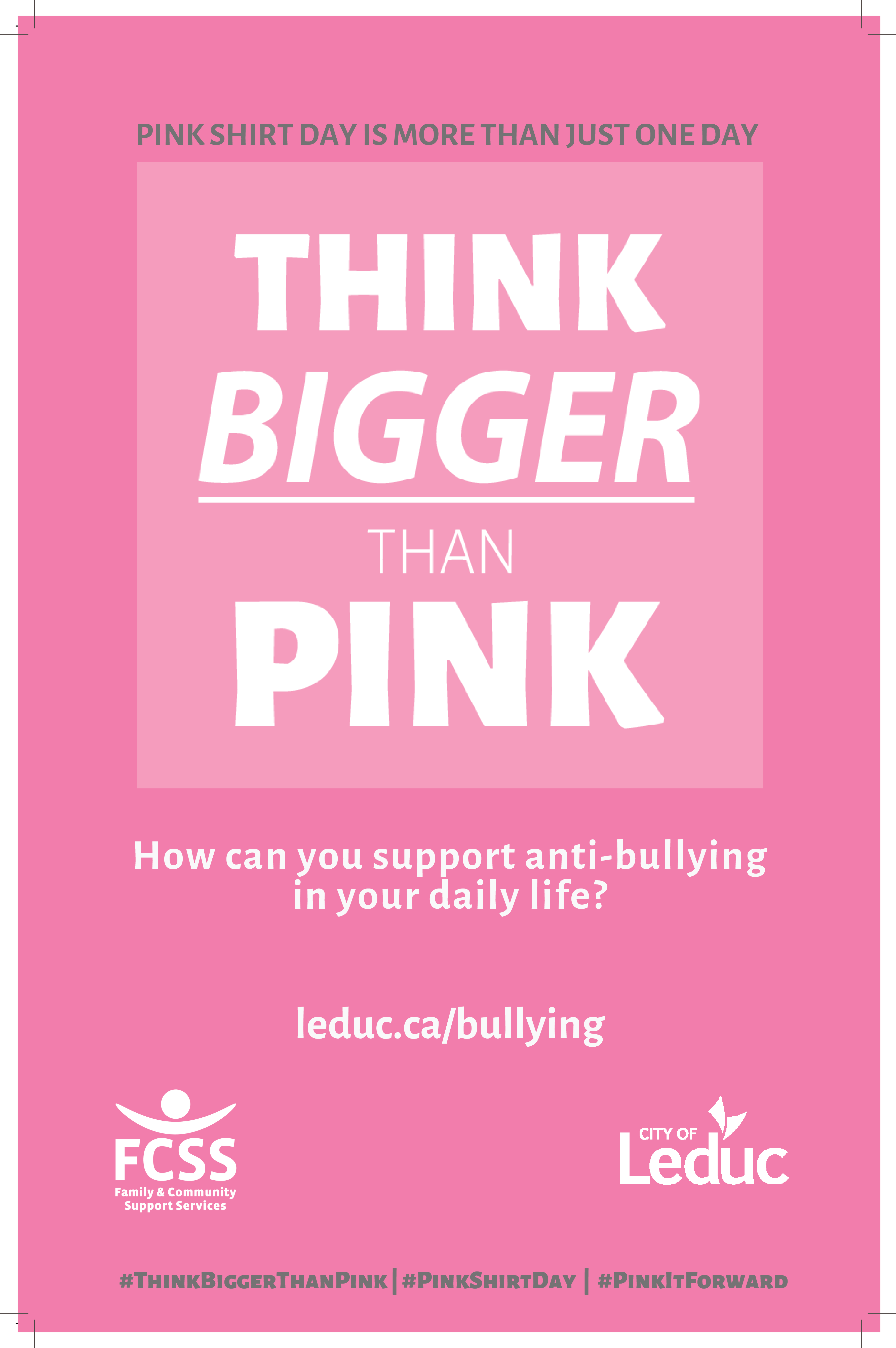 Think Bigger Than Pink poster 