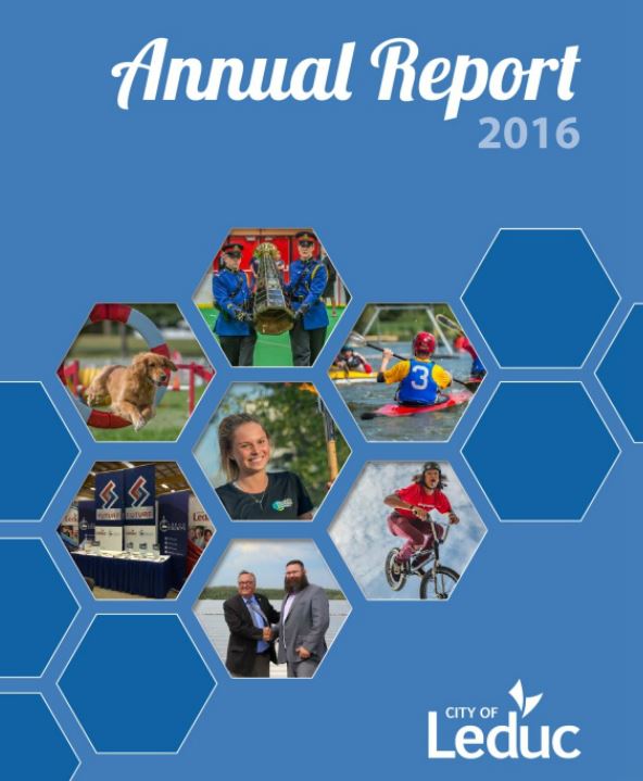 annual report cover.JPG