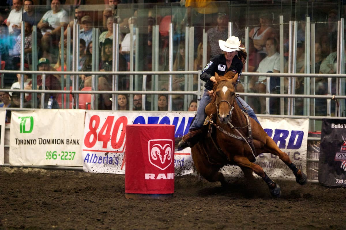Female cowboy riding a horse around a red barrel at the Black Gold Rodeo hosted in the Leduc Recreation Centre