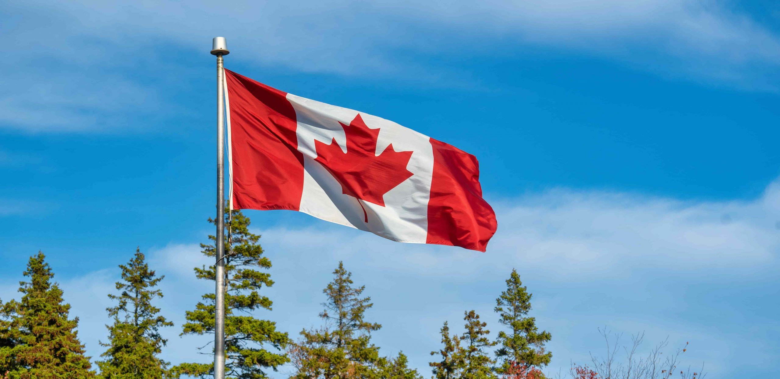 Canadian flag waving on a pole against a blue sky, with coniferous trees in the background.