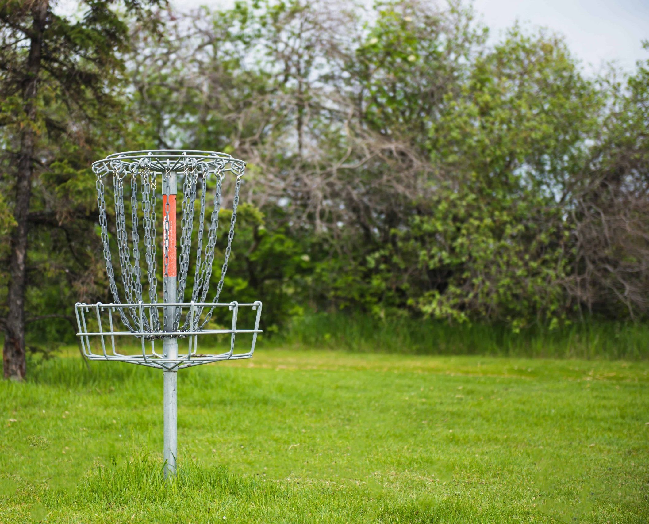 Disc golf basket in a grassy field with trees in the background.