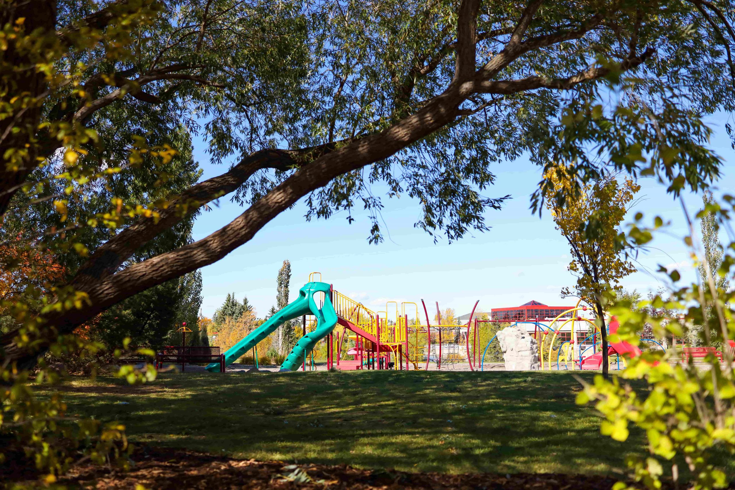 Leduc Alexandar park on a sunny day