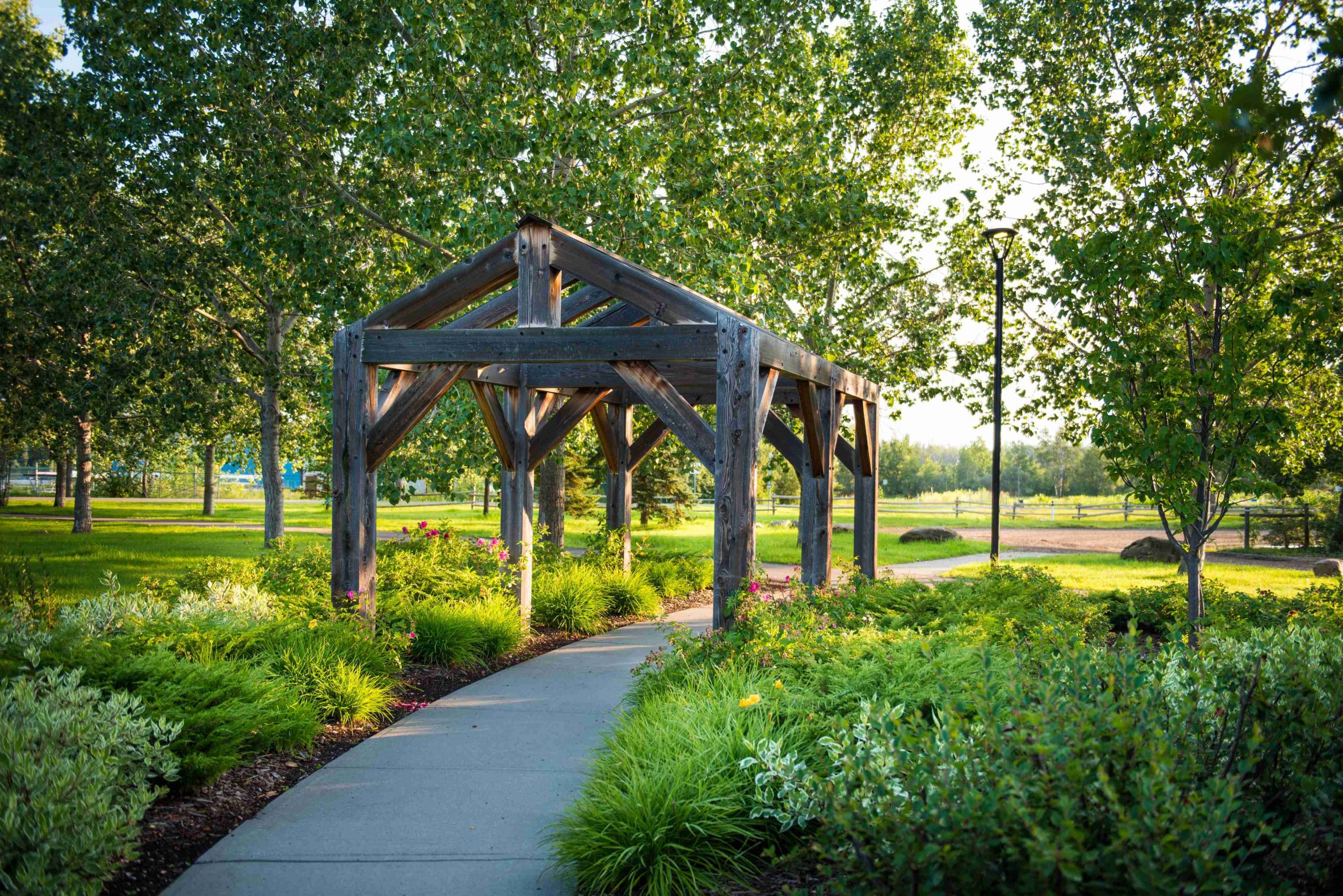 Wooden pergola with a triangular roof over a curved path, surrounded by greenery and trees in a sunlit park.