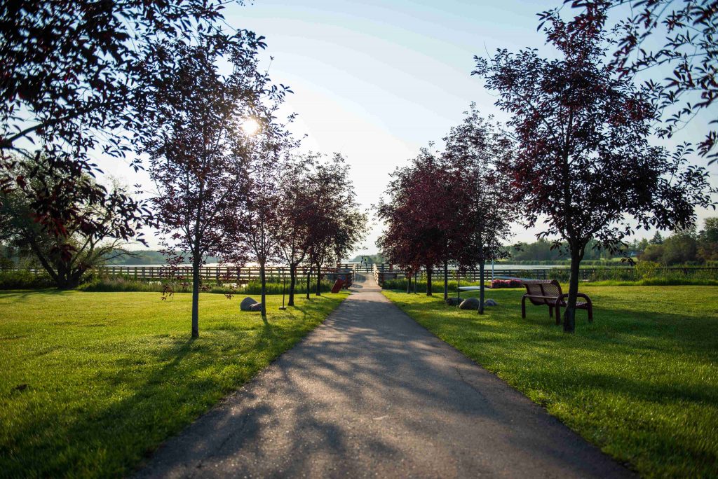 A straight pathway lined with trees and benches leads towards a bridge, with sunlight peeking through branches on a clear day.