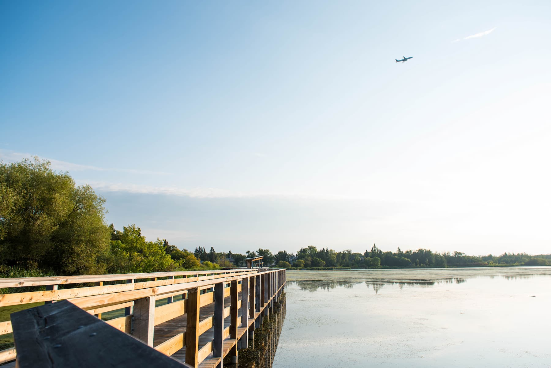 Telford Lake Boardwalk with a plane flying in the sky