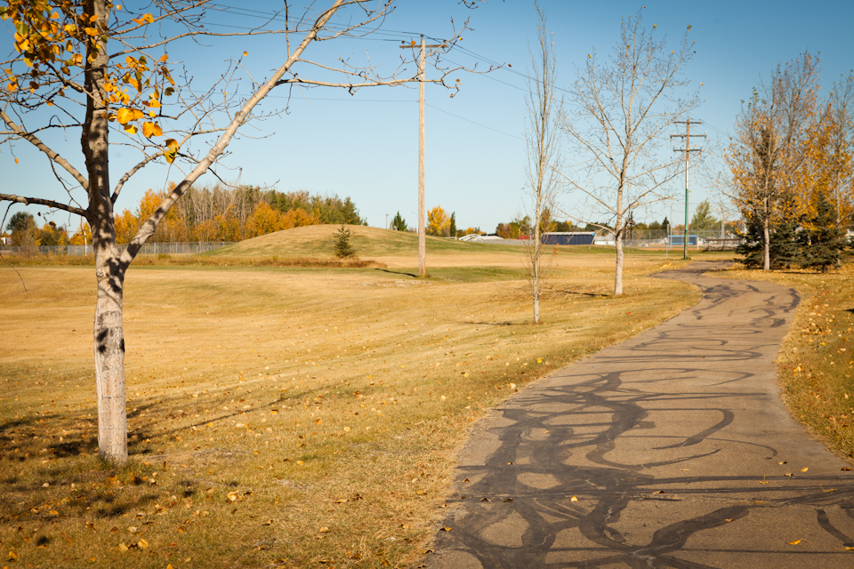 http://A%20paved%20pathway%20lined%20with%20bare%20trees%20and%20scattered%20leaves,%20running%20through%20an%20open%20park%20under%20a%20clear%20blue%20sky.
