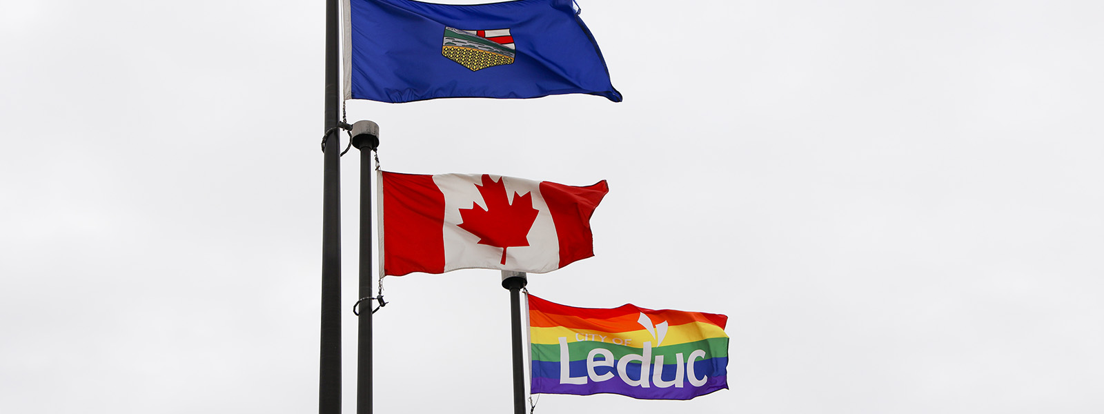 Image of the Leduc pride flag, along with the Canada and Alberta flag raised in the air.