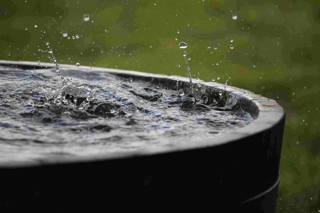 rain barrel placed in a backyard garden to collect rainwater for plants Green Gold Event