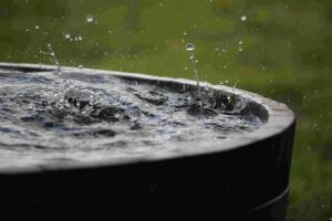 rain barrel placed in a backyard garden to collect rainwater for plants Green Gold Event